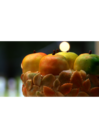 20200325-fruittraktatietaart